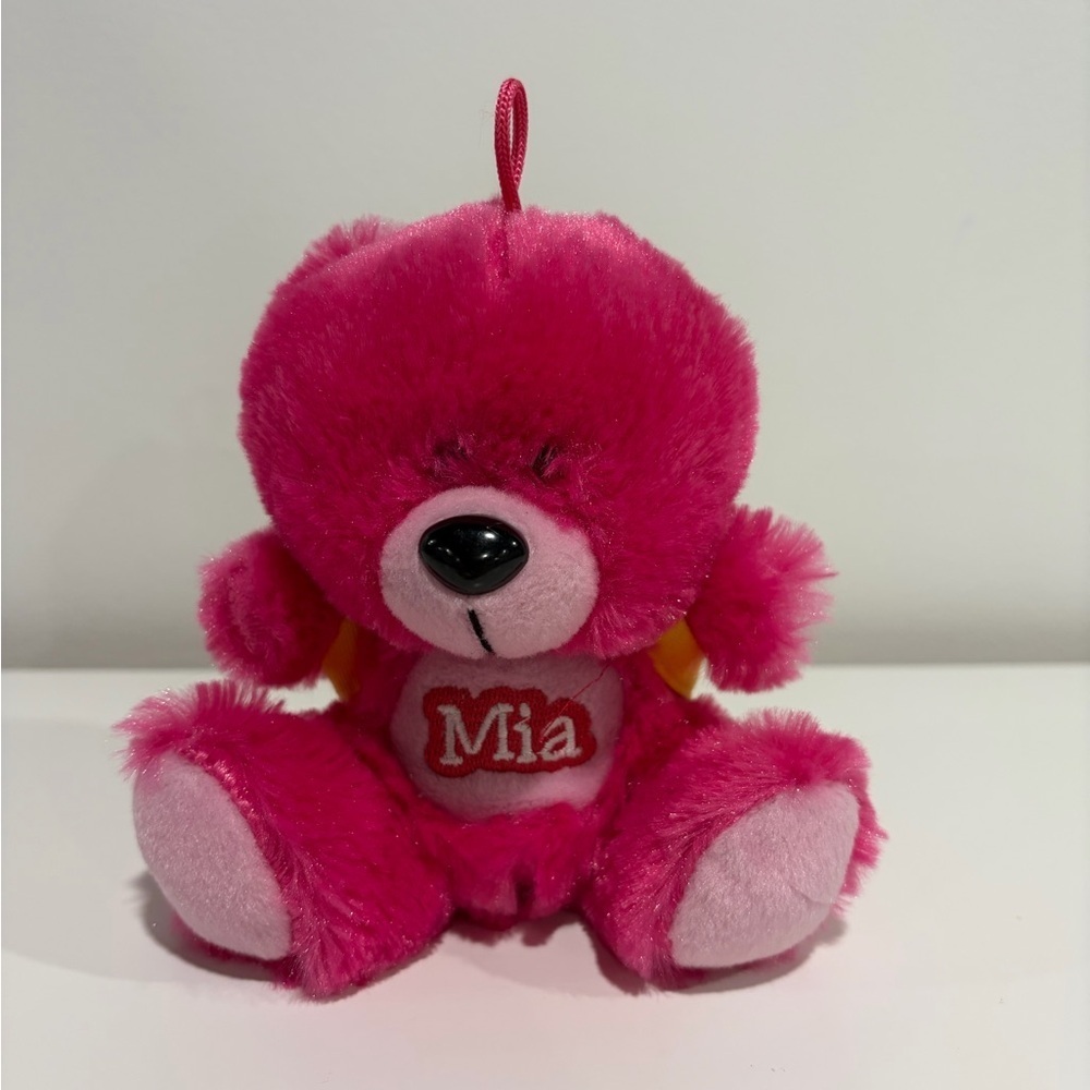 Pink Plush Bear with Embroidered Name